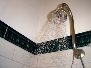 shower filter