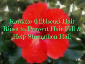 Kardake (Hibiscus) Hair Rinse to Prevent Hair Fall & Help Strengthen Hair