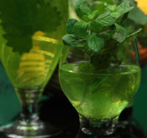 lemon mint and parsley smoothie