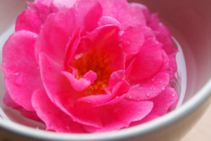 rosewater for clear and glowing skin