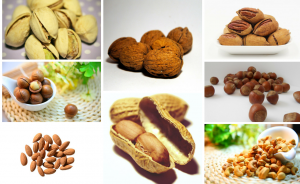 8-nut-butters-for-weight-loss-in-dubai