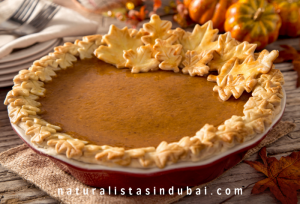 Easy Thanksgiving Pumpkin Pie
